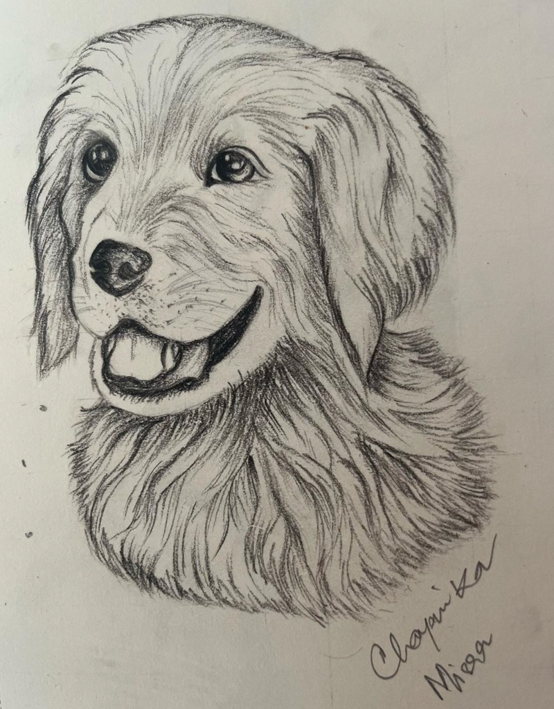 Good boy